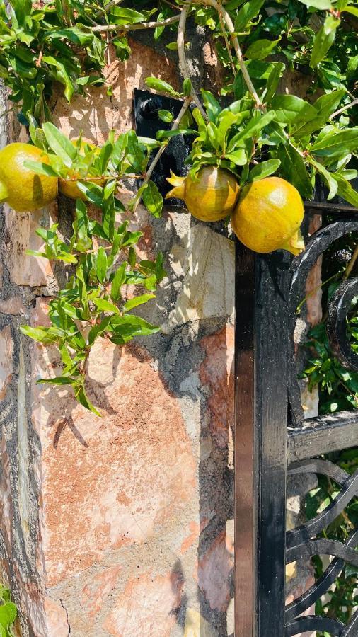 Vila Natali Himare Exterior foto